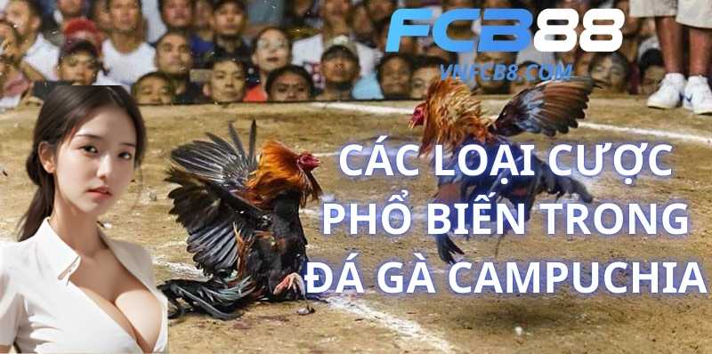 Các Loại Cược Phổ Biến Trong Đá Gà Campuchia