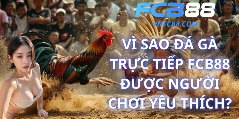 Vì Sao Đá Gà Trực Tiếp FCB88 Được Người Chơi Yêu Thích?